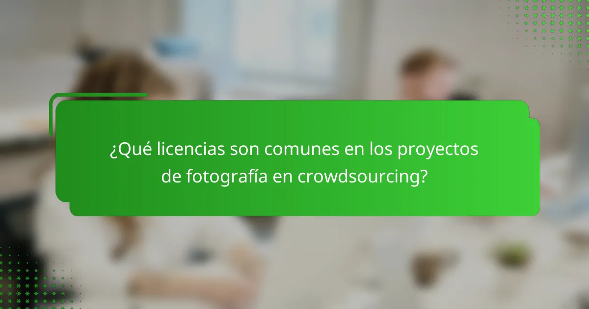 ¿Qué licencias son comunes en los proyectos de fotografía en crowdsourcing?
