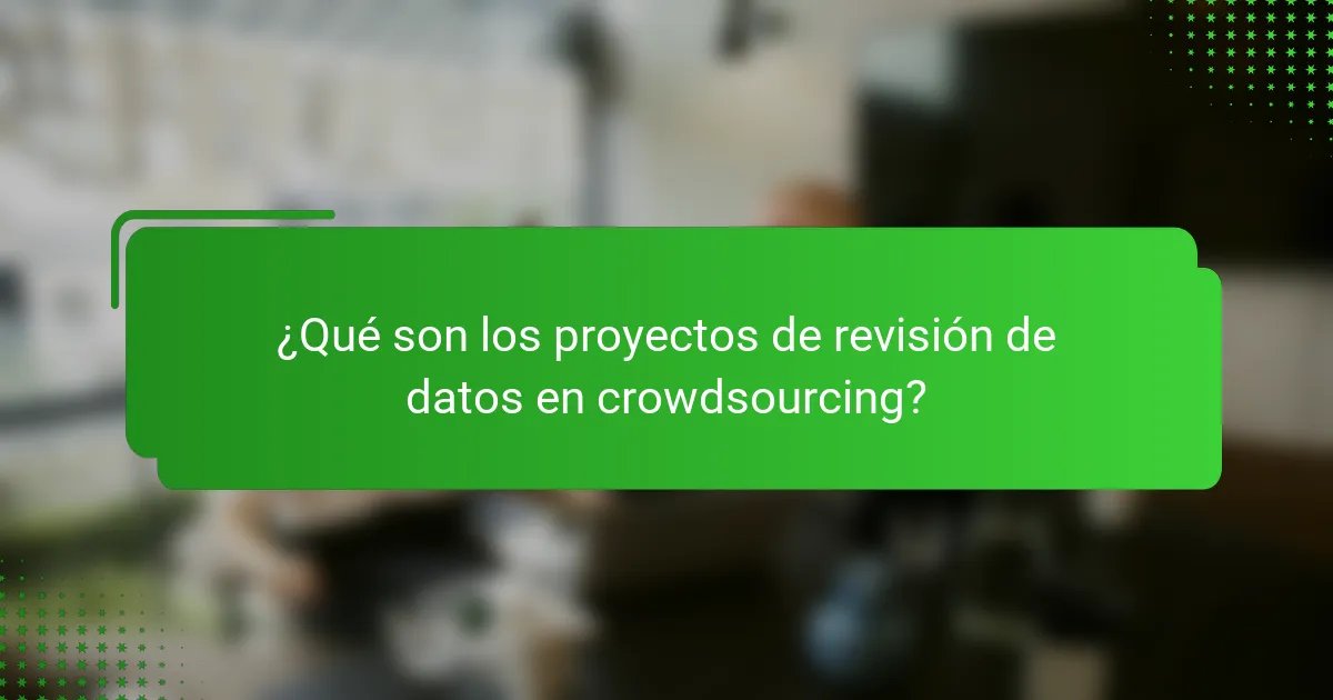 ¿Qué son los proyectos de revisión de datos en crowdsourcing?